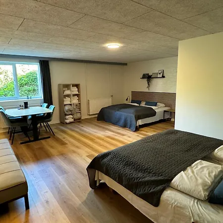 Koncepthotel 호텔 Oksbøl
