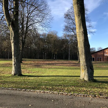 酒店 Koncepthotel 4*